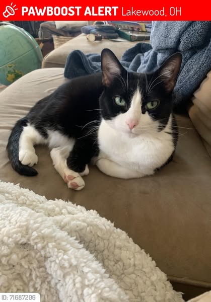 tuxedo
