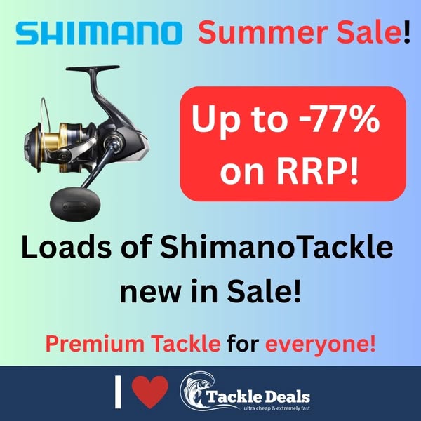 Best Deals