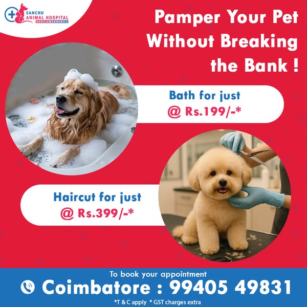 Shop Pets