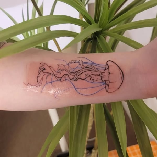 jellyfish