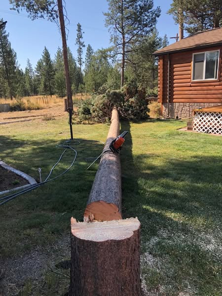 Affordable stump
