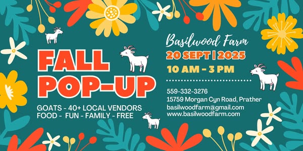 Shop Local