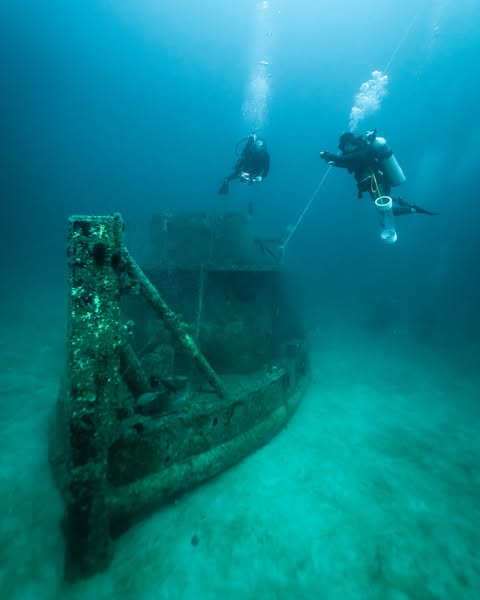 plunge