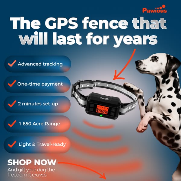 Shop Pets