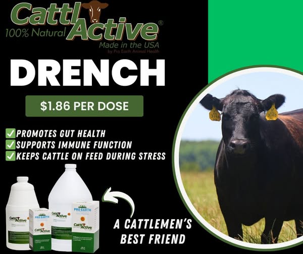 Effective herd