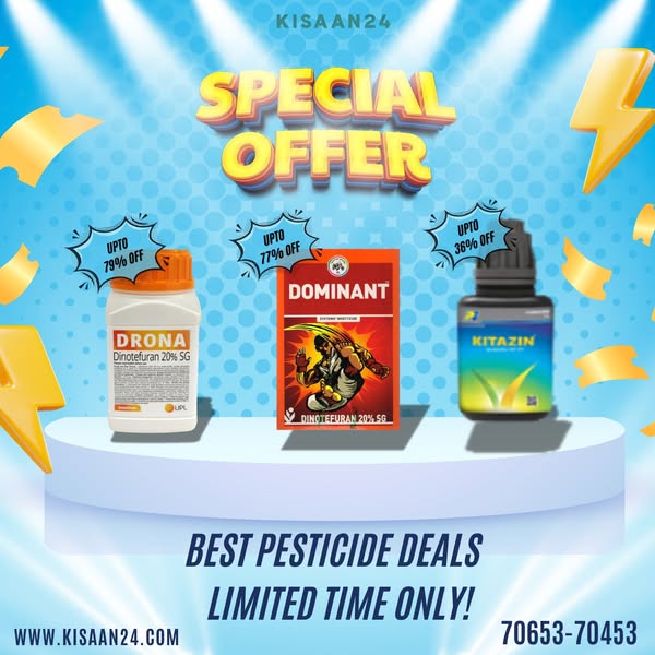 Shop the best deals