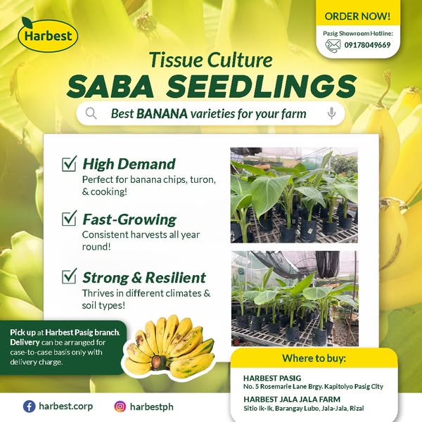 Premium agribusiness