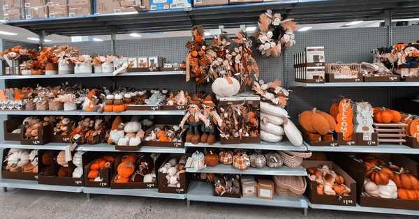 Shop for home decor accents