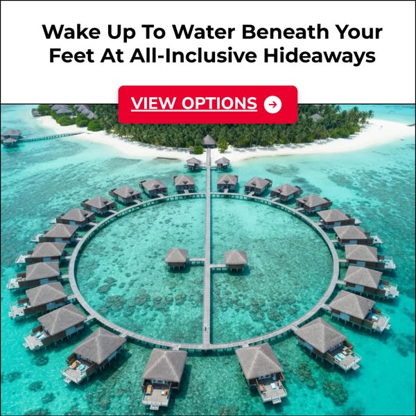 Daily Deals