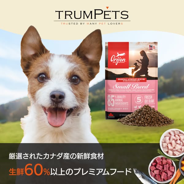 Shop for Pet Lovers