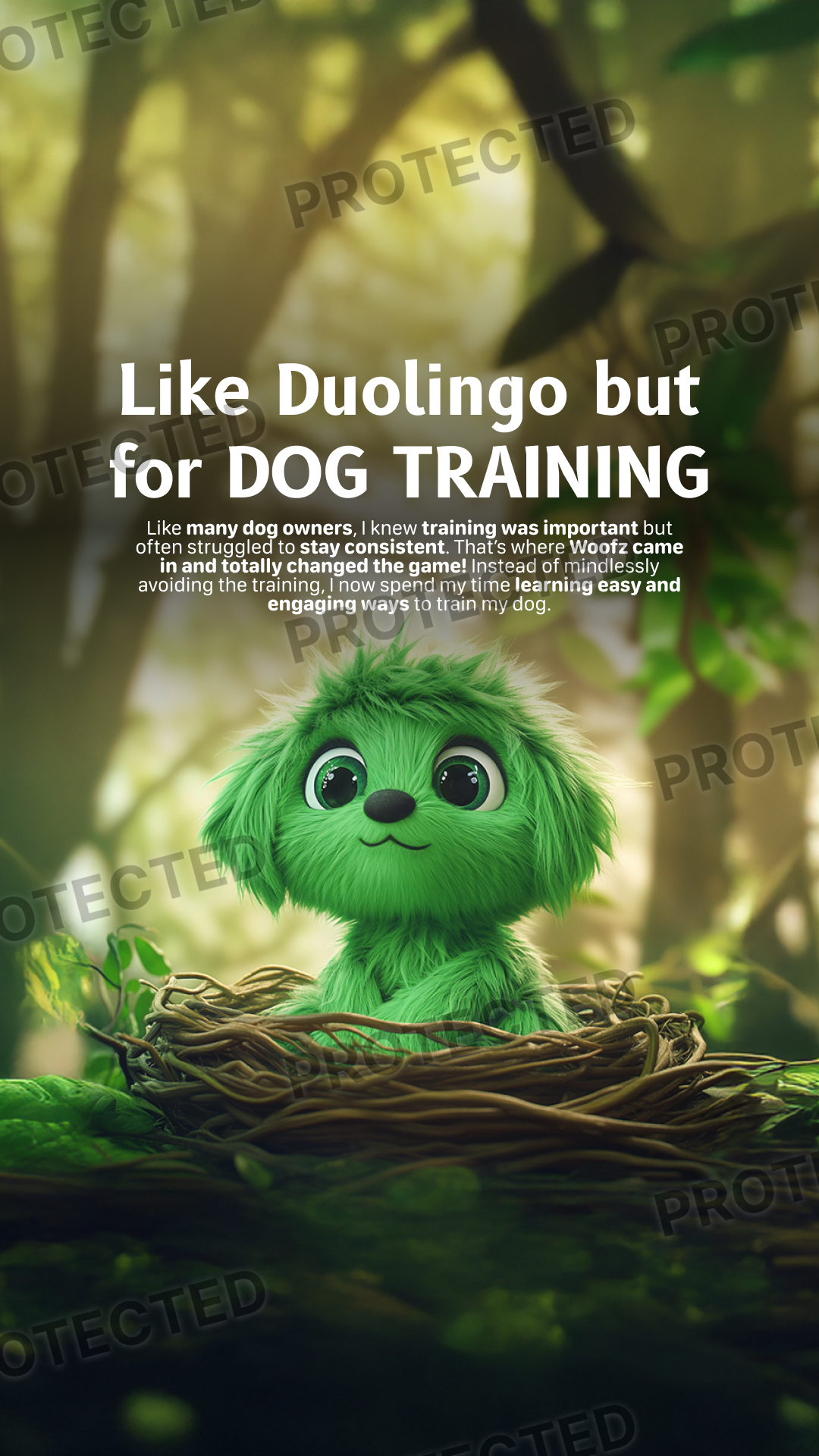 Duolingo
