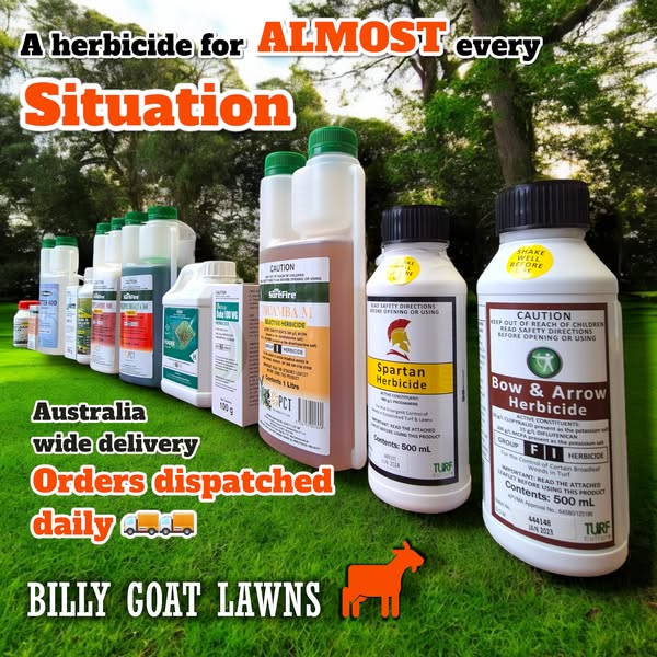 insecticide