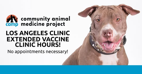 Fast vaccine