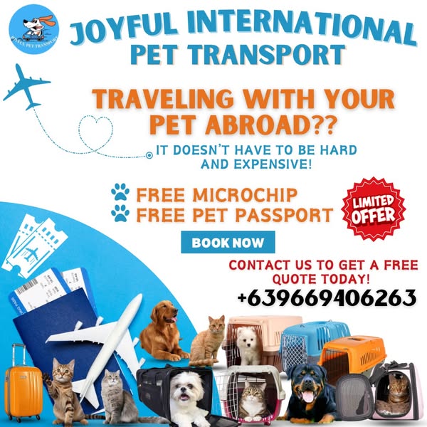 Joyful expensive