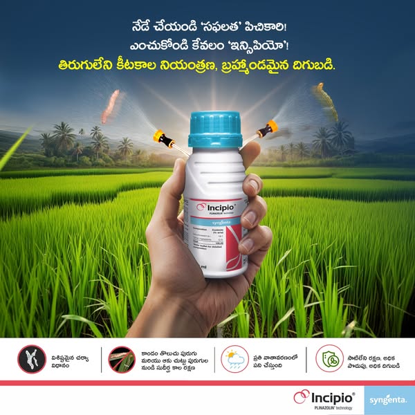 insecticide