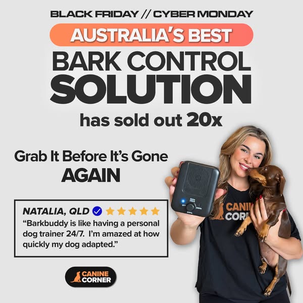 Black Friday Deals