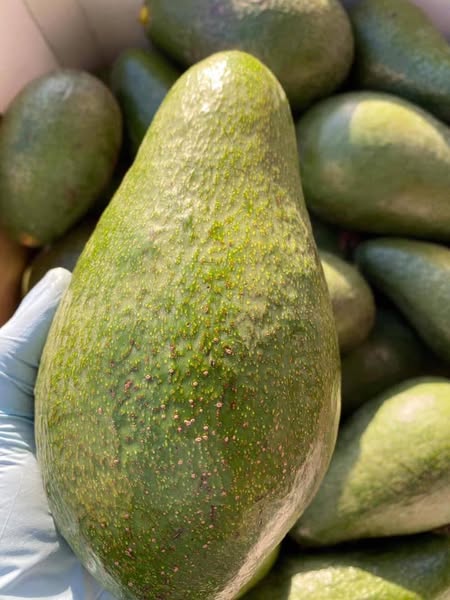 Healthy content