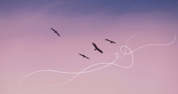 Practical flourish