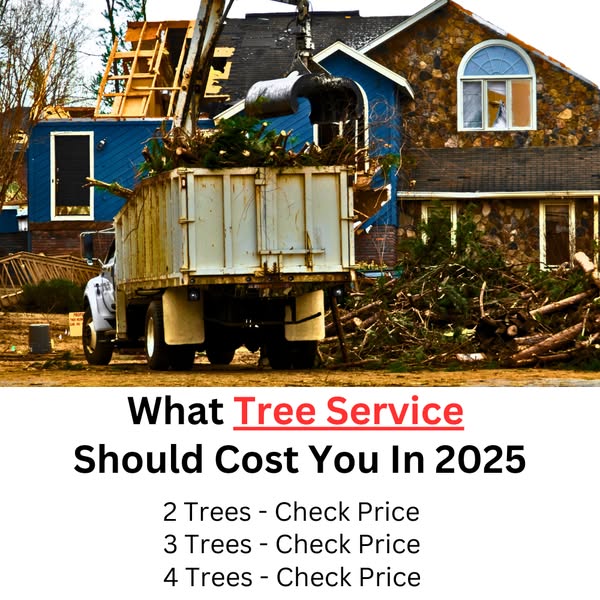 Budget-friendly surprised