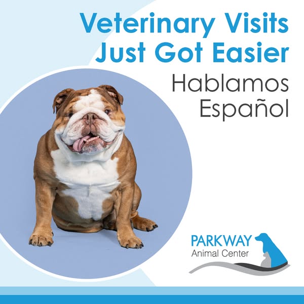 Spanish-speaking