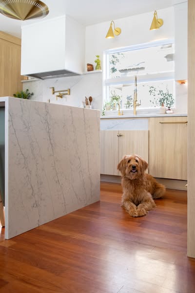 Stunning appliance