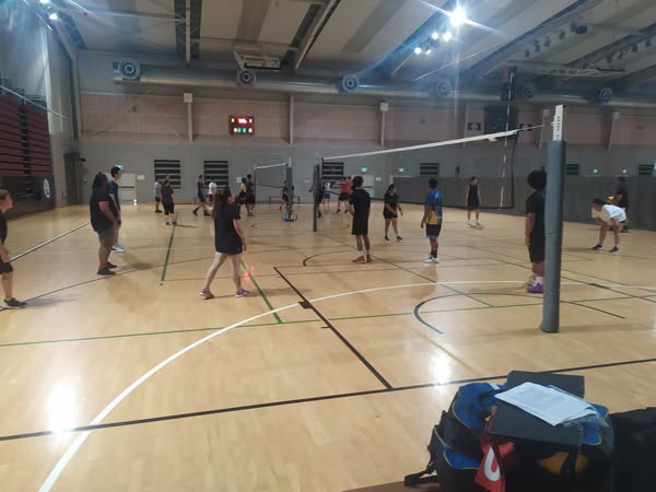 volleyball