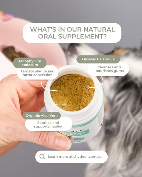 Shop for pet care products