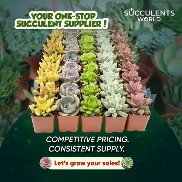 Healthy supplier
