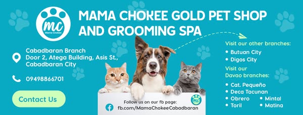 Shop for pet grooming