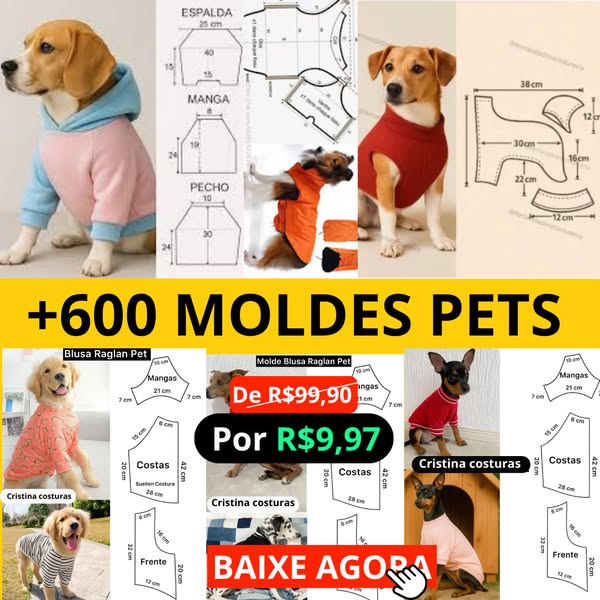 Ideal pet