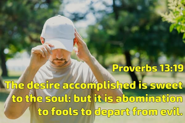 Wise righteousness