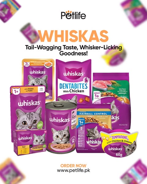 Shop for pet care products