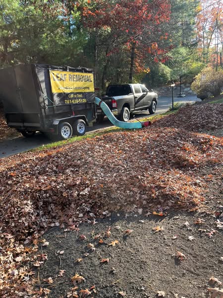 Leaf Rake