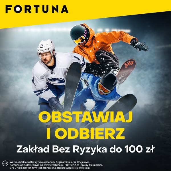 efortuna.pl