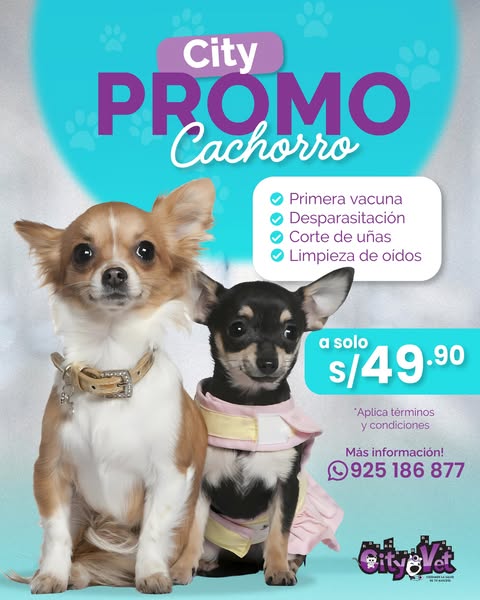 Shop for pet grooming