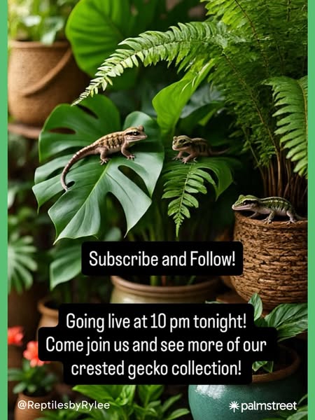 Subscribe & Save