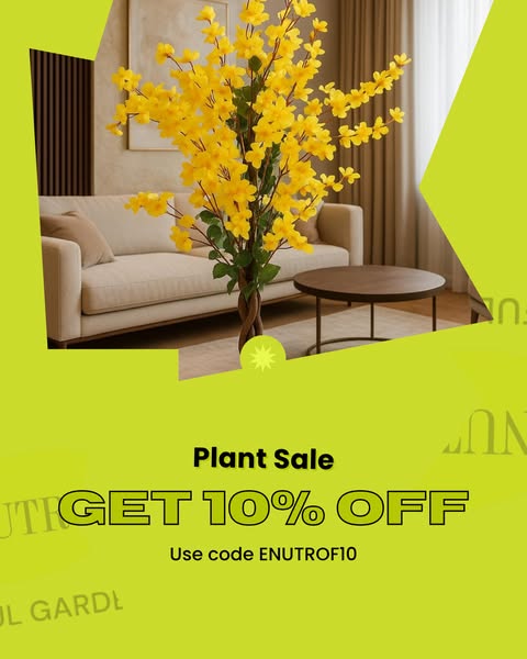 Shop Garden