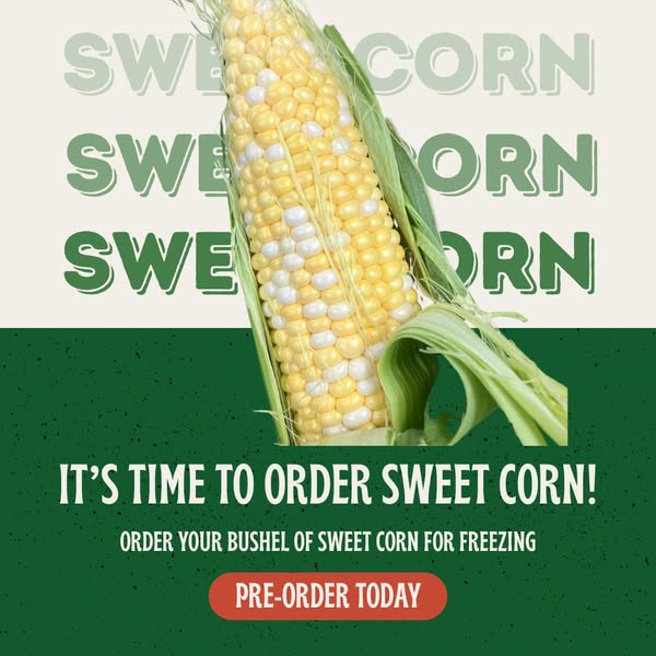 Pre-order Now