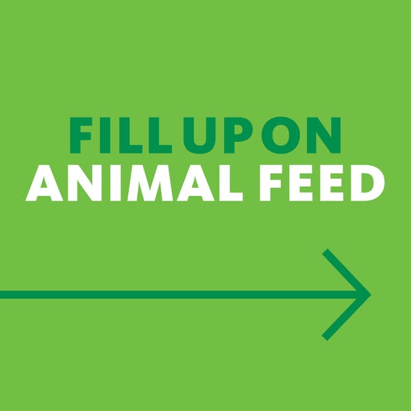 Superior animal
