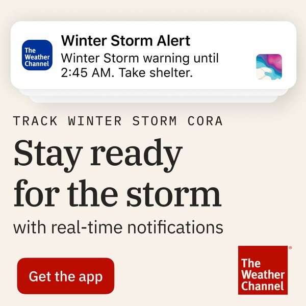 forecaster