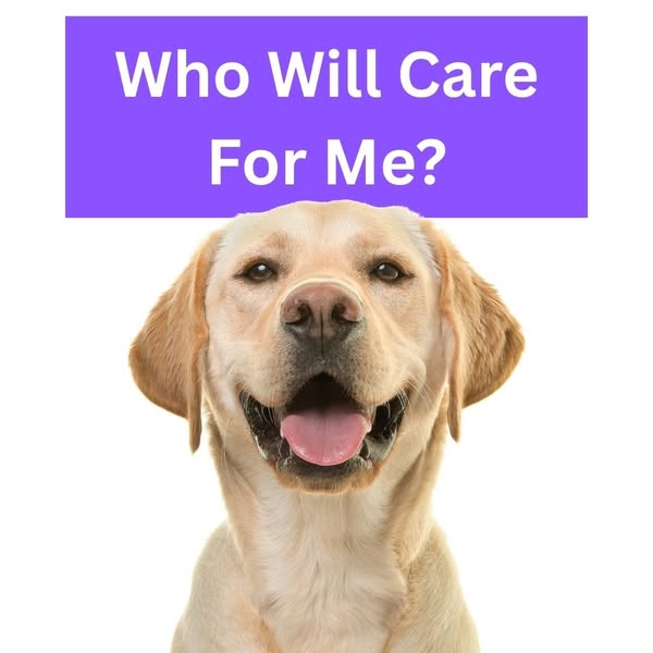 Shop for pets
