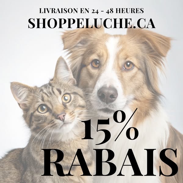 Shop for pet food