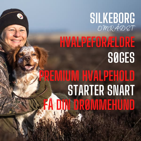 Premium dig