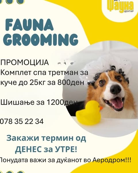Shop for pet grooming