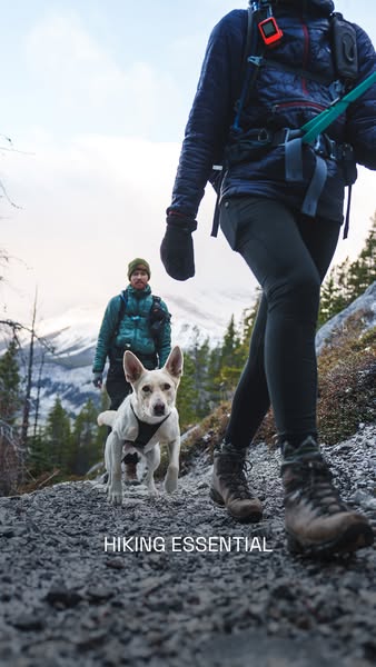 Quality trail