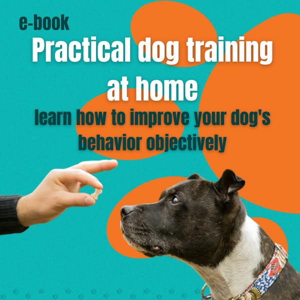 Practical objectively
