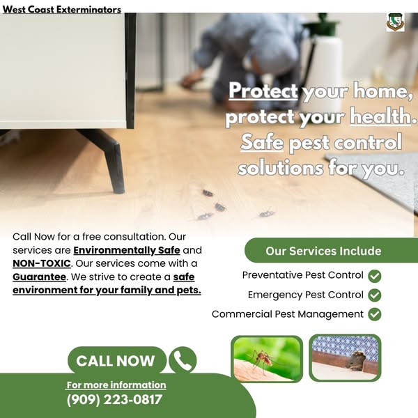 Eco-friendly we