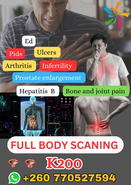 spleen