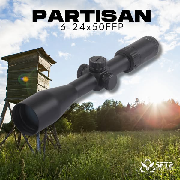 partisan