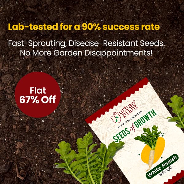 Shop Garden